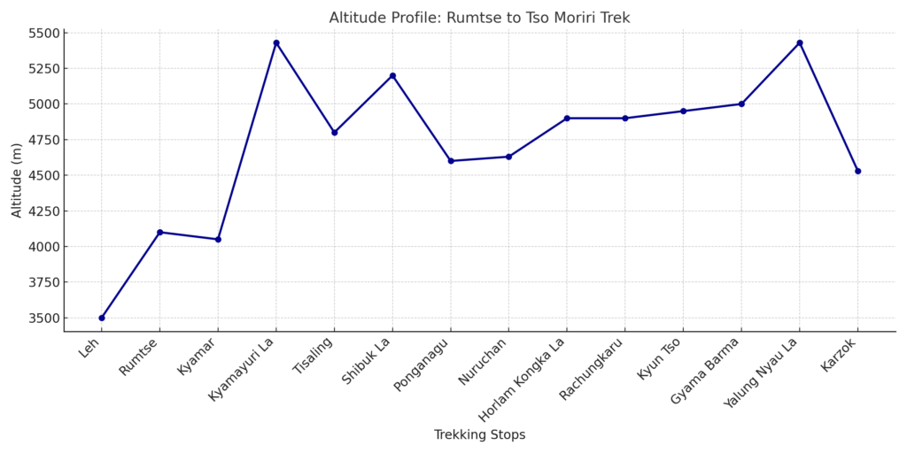 RUmtse to Tsomoriri Lake trek