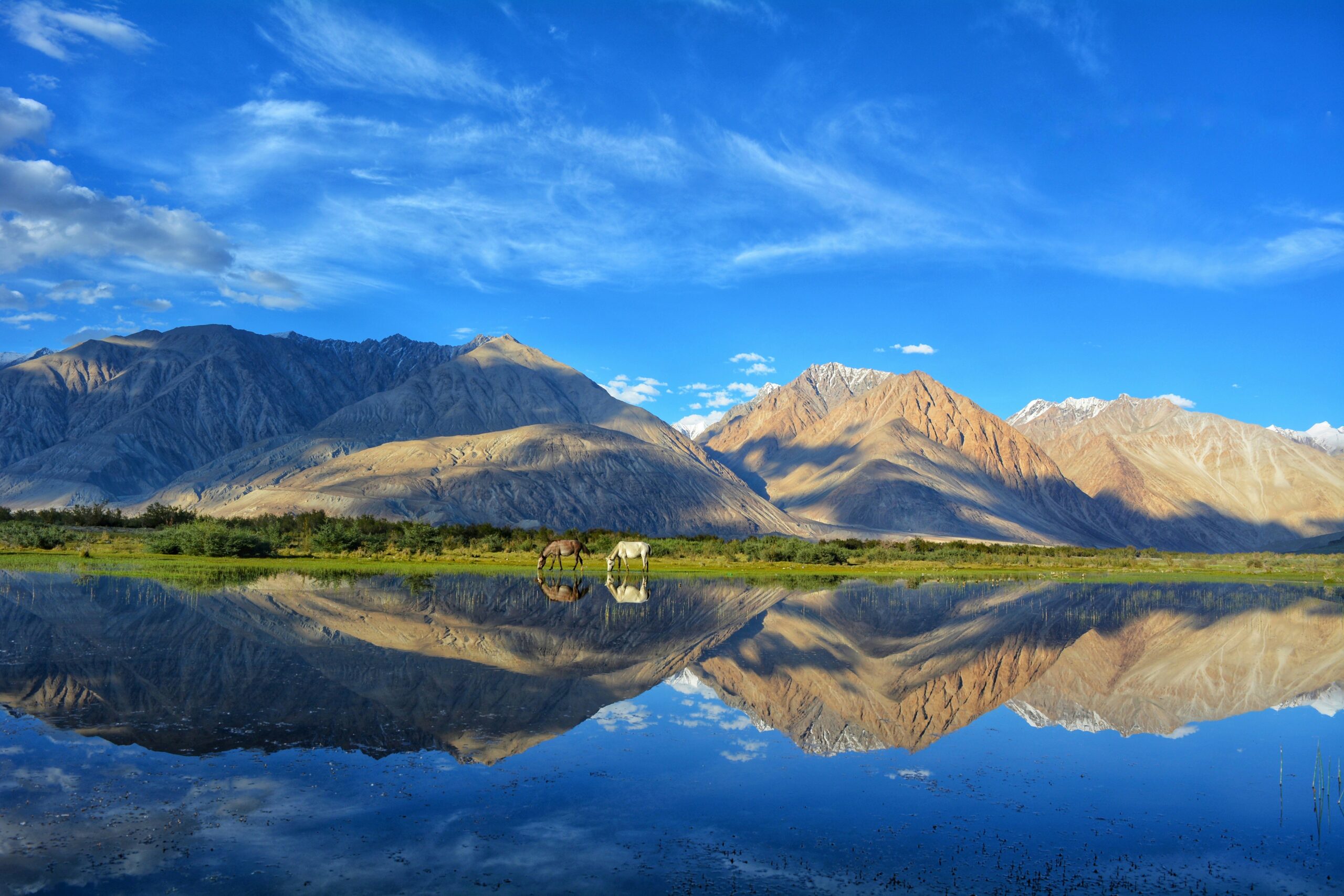 Nubra Valley