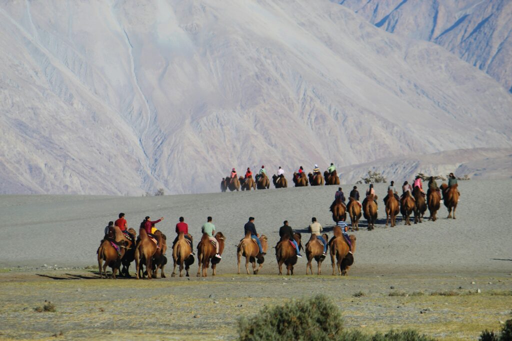 Family Trip in Ladakh